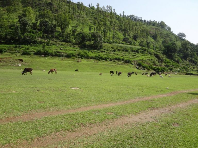 सुदूरपश्चिमका आठ विमानस्थल अझै सञ्चालमा आएनन्