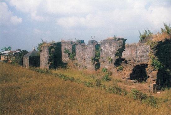 मकवानपुर गढीमा कृषि उद्यान निर्माण प्रारम्भ