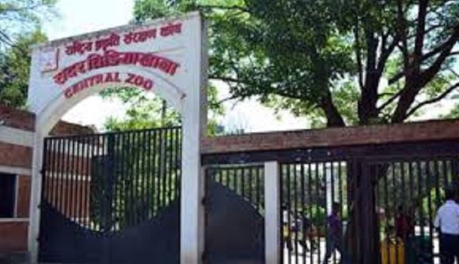 जनावरका लागि नयाँ घर निर्माण गर्दै चिडियाखाना