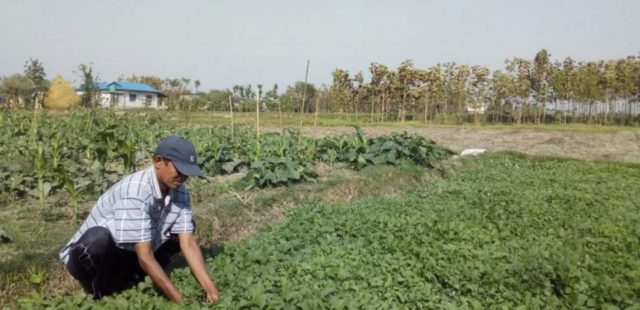 सागबाट लाख