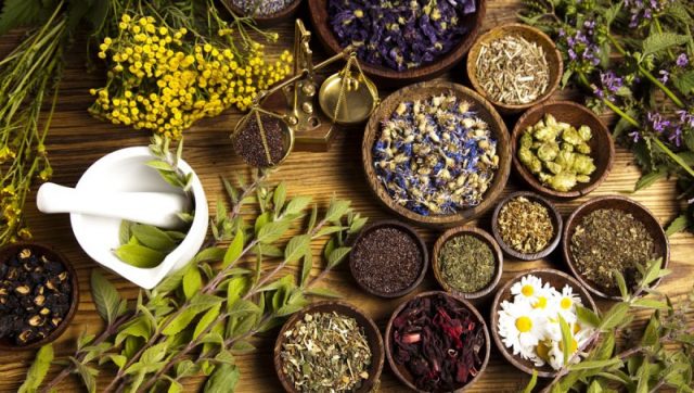 जडीबुटी प्रशोधन केन्द्र स्थापनाका लागि सम्भाव्यता अध्यन गरिने