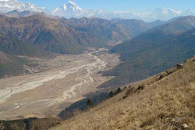 ढोरपाटनमा छ नाउर र तीन झारलको सिकार