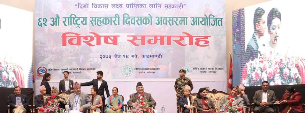 ‘भाडा सफा तर चामल, सब्जी चाँही बिषादी मिसिएको छ’