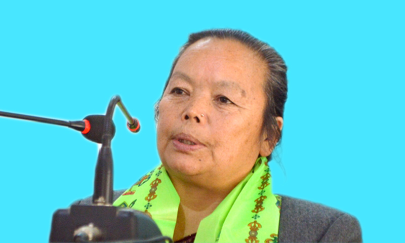 नेपाल किन विकास भएन रु यसो भन्छिन् मन्त्री थापा