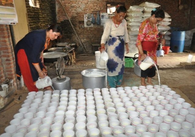फस्टाउँदै जुजु धौ व्यवसाय