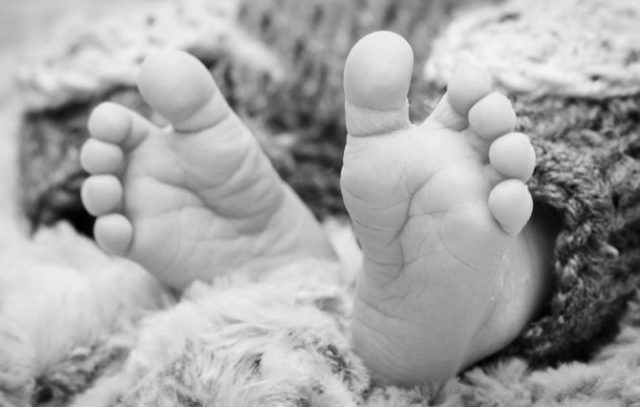 पाल्पामा जङ्गली च्याउ खाँदा दुई बालिकाको मृत्यु, आठ बिमारी