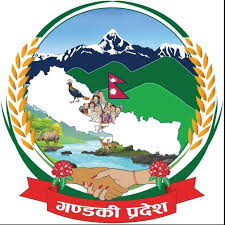 गण्डकी प्रदेशका सांसदलाई बाढियो सुनको लोगो, तर पहिले भन्दा ३३ गुणा महंगो