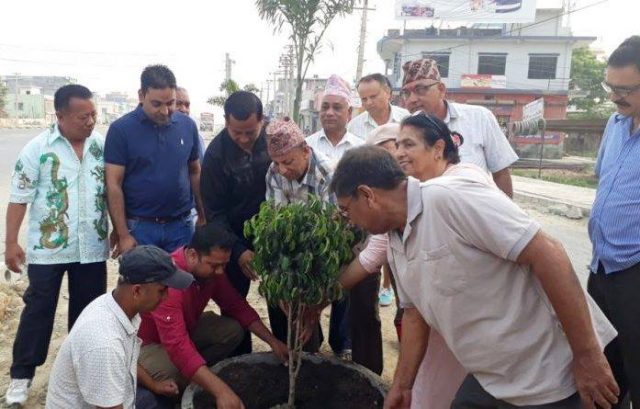 हरित प्रदेश अभियान शुरु