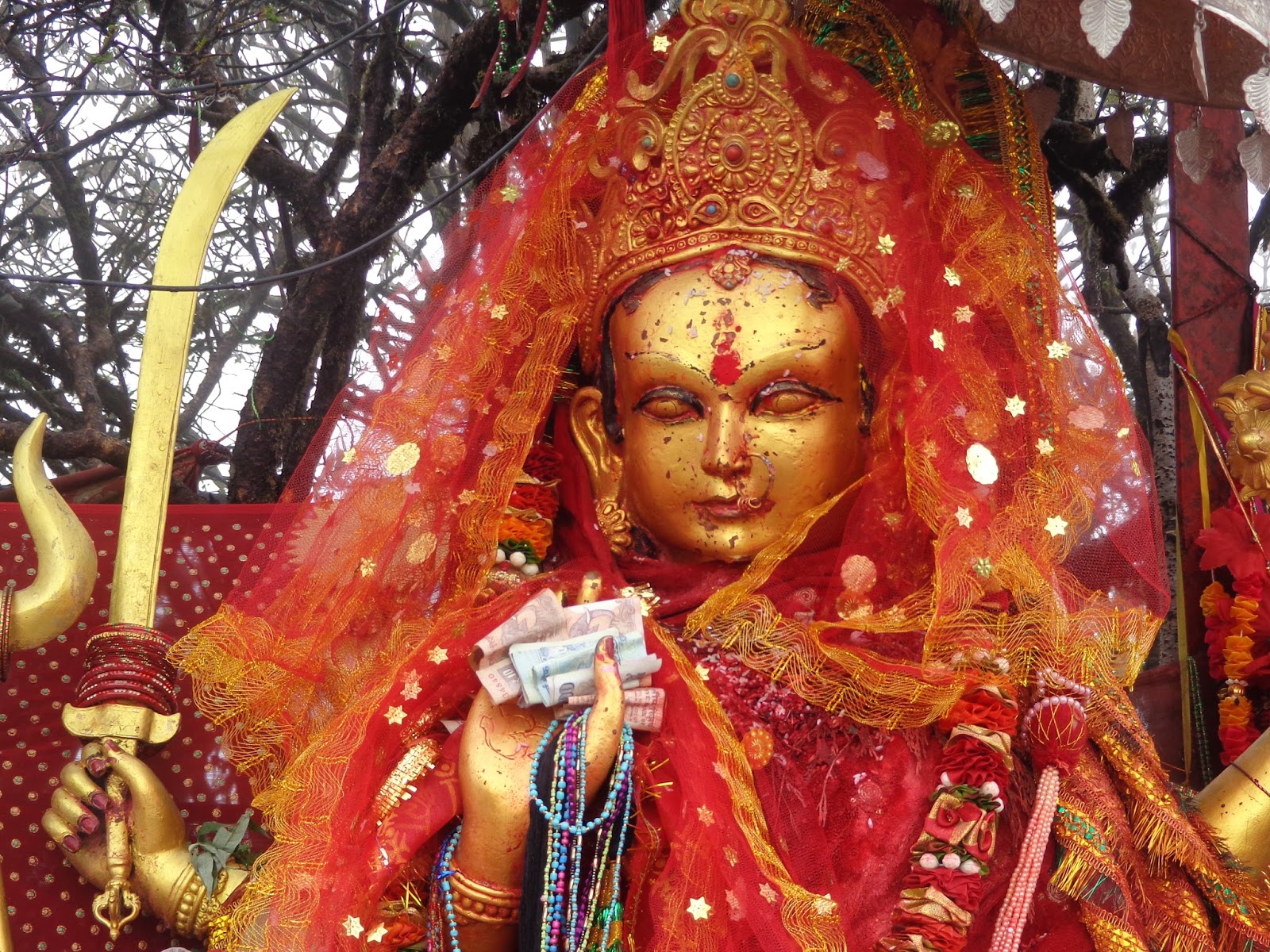 पाथीभरा देवीको दर्शन गर्न पैदलयात्रा शुरु….