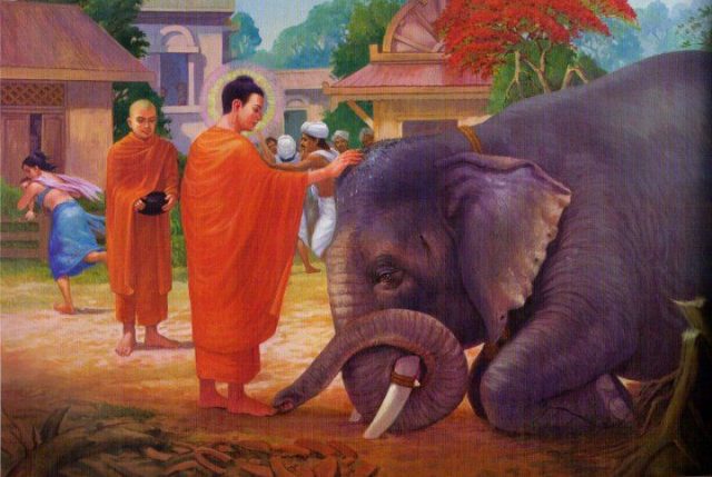 यसरी पुरा भएन बुद्धलाई हात्तीले कुल्चाउने देवदत्तको योजना