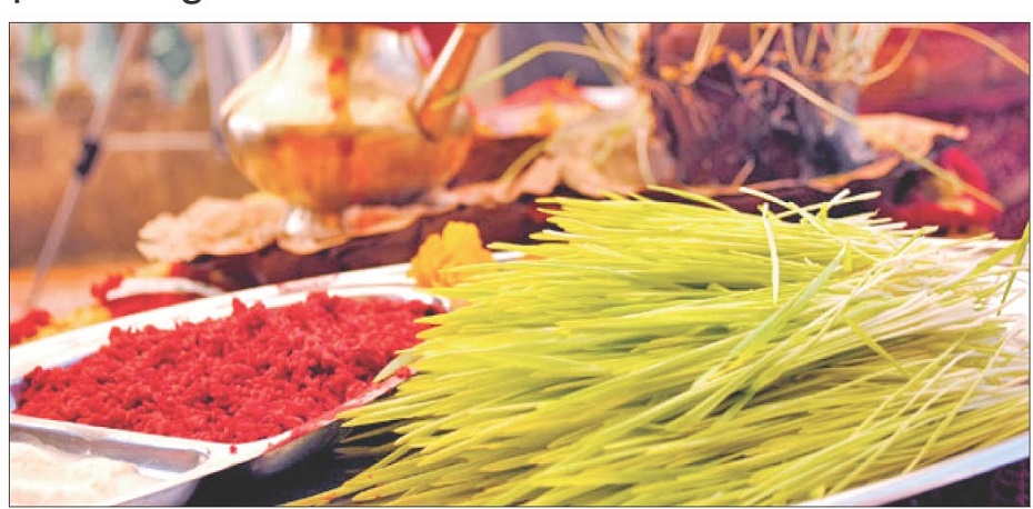 फुलपातीको विशेष महत्व