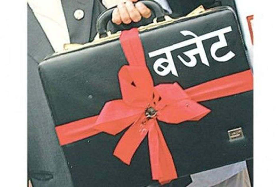 बजेट खर्च छानबिन गर्न समिति गठन