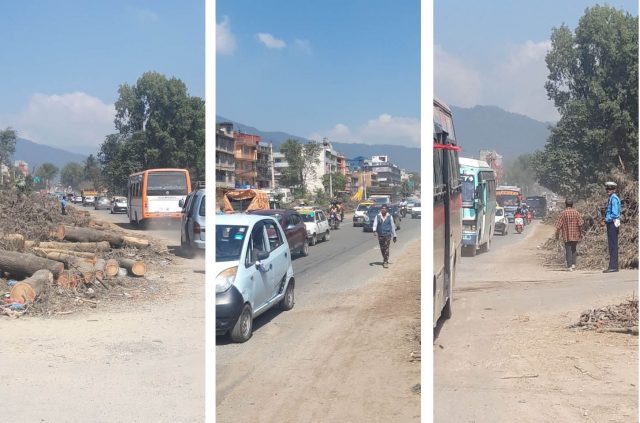 विकासको नाममा विनासः सीतापाइला सडक किनाराको हरियाली एकछिनमै उजाडियो