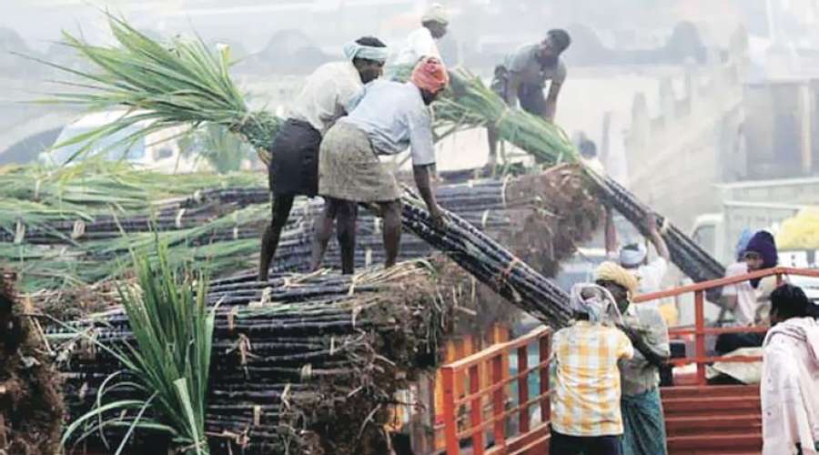 चिनी मिलद्वारा उखुको मूल्य निर्धारण