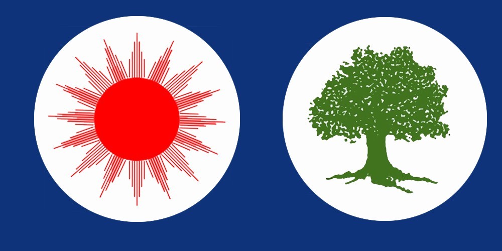 उपनिर्वाचन २०७६ : वडाध्यक्षमा नेकपाको वर्चस्व