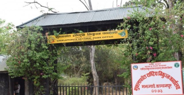 शुक्लाफाँटामा चराका प्रजाति बढ्दै