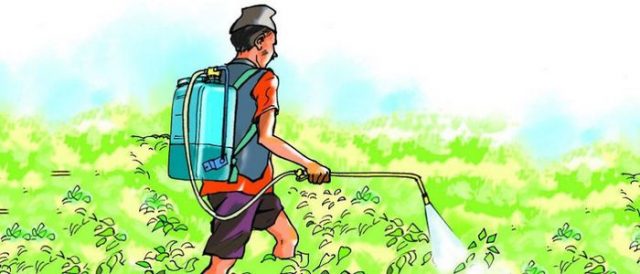 विषादी प्रयोगमुक्त सप्ताह शुरु