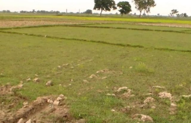 जग्गा संरक्षण आयोगको टोली दमकमा