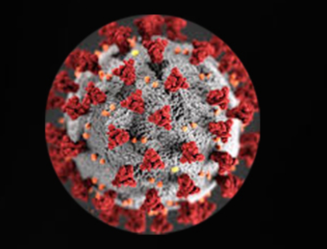 काठमाडौमा अहिलेसम्म एकजना मात्र काेराेना संक्रमित