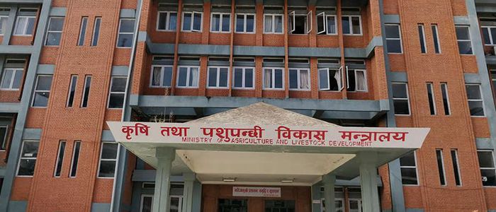 स्वदेशी कृषि उत्पादनको बजार सुनिश्चित गर्न सरकारको यस्तो निर्णय