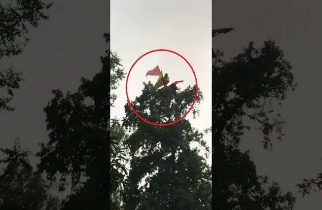 रुखमा बसेर खाने र सुत्ने बाबा