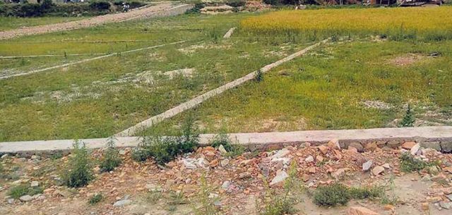 सरकारले खोल्यो जग्गाको कित्ताकाट