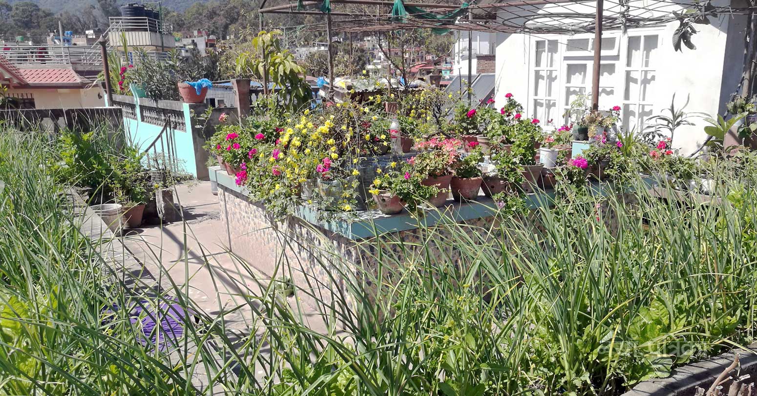 कौशी खेतीका लागि ‘कौसी क्वीन–०७७’ फोटो प्रतियोगिता हुने