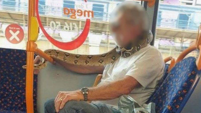 सर्पलाई मास्कको रुपमा प्रयोग