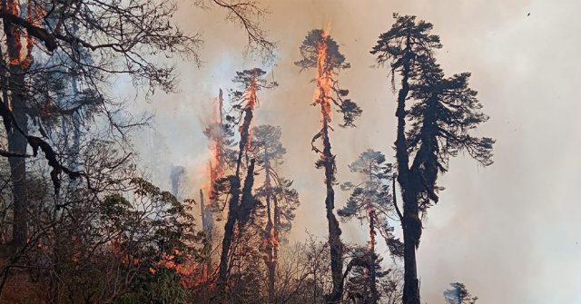 दुई हजार हेक्टरमा डढेलो, धुवाँले आँखा पोल्ने समस्या