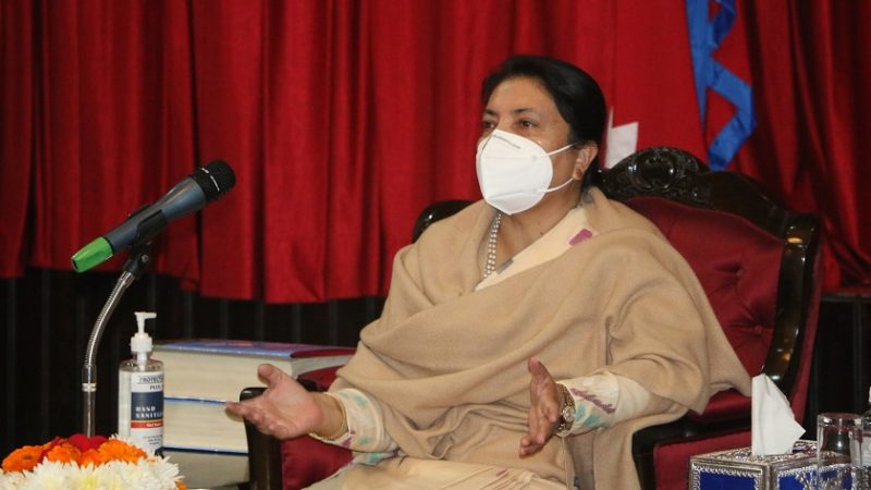 ‘राष्ट्रपतिलाई पनि कारबाही गर्न सकिने’