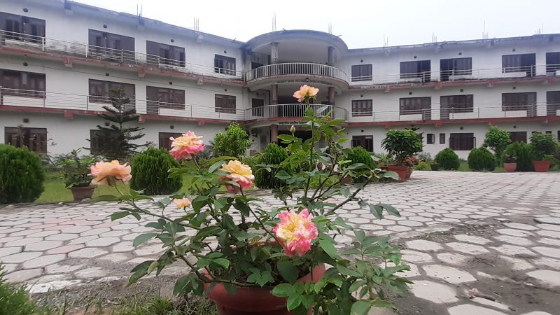 प्राकृतिक उपचार : चिकित्सा विज्ञान र जीवन दर्शन